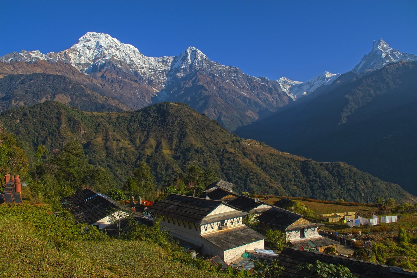 Nepal Tour