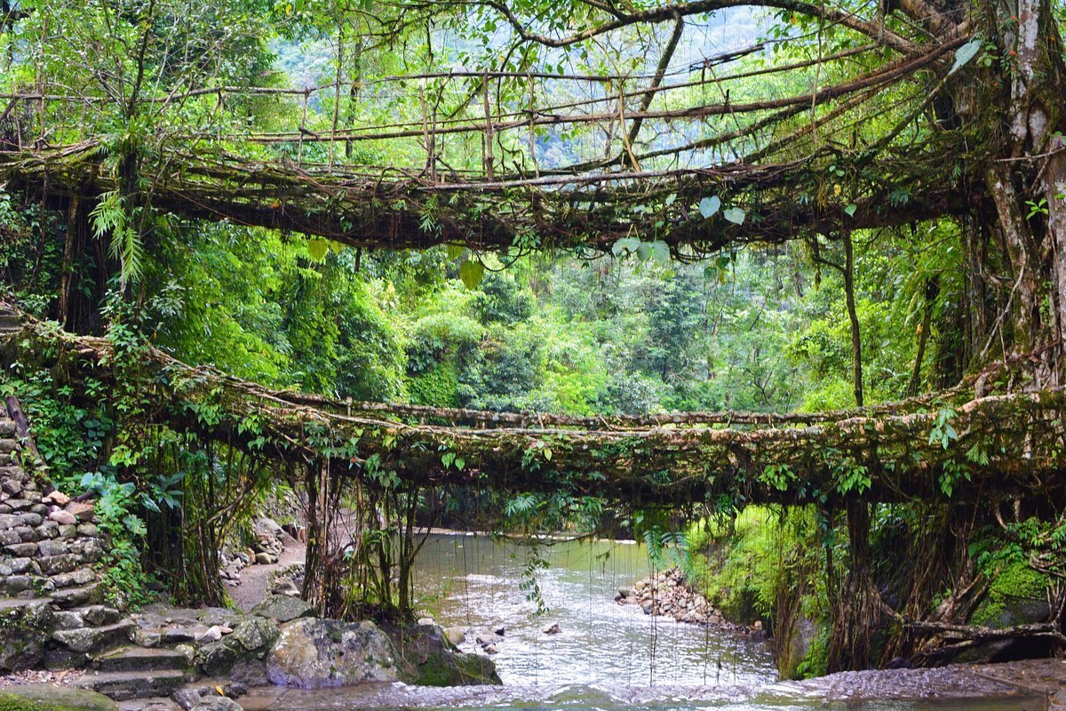Arunachal Pradesh landscape